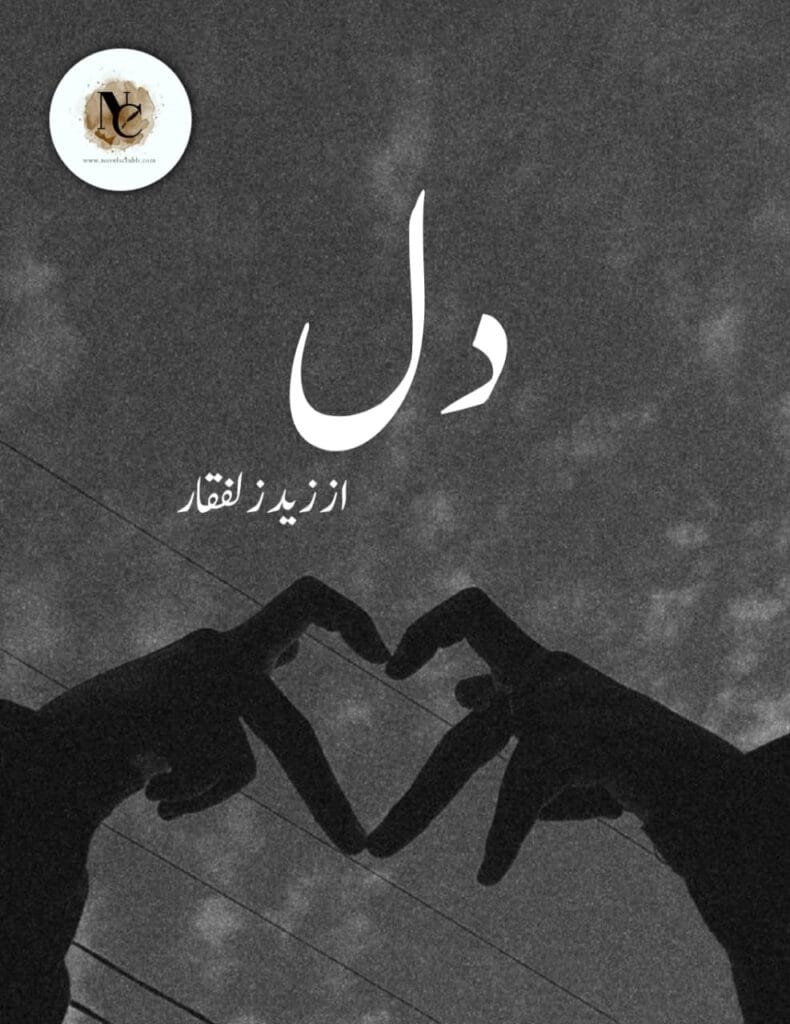 Dil By Zaid Zulfiqar Pdf Download Or 3 3