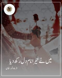 Main Ne Tera Naam Dil Rkh Dya By Mah Noor Khan Or Main Ne Tera Nam