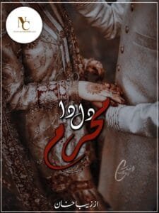 Dil Da Mehram By Zeba Khan Pdf Download 2 Dil Da Mehram By Zeba Khan Pdf Download Or 19