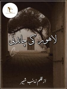 Lahore Ki Chandni By Zainab Shabbir Complete Or 3 1