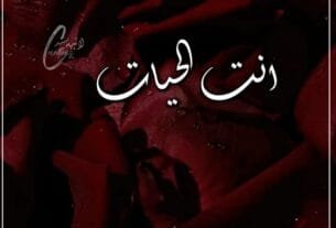 Antal Hayat By Haya Noor Urdu Novel Or 12 2