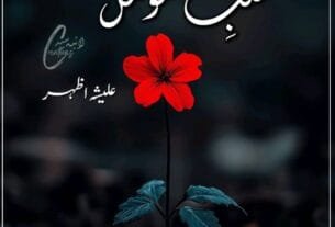 Qalb E Momin By Aleesha Azhar Urdu Novel﻿ Or 20 1