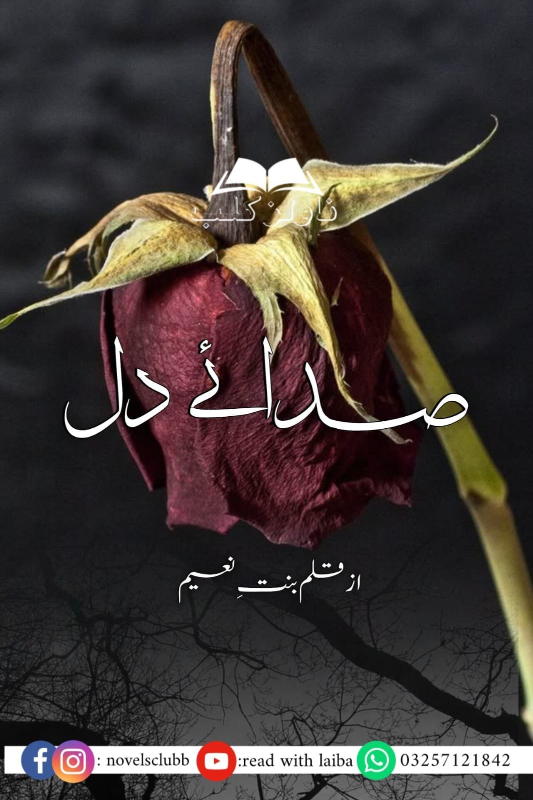 Saday E Dil By Bint E Naeem Complete Urdu Novel Or 01 3