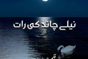 Neele Chand Ki Raat By Saba Javed Digest Novel Or 05