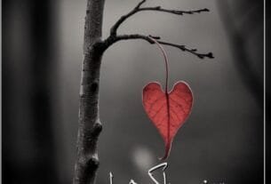 Ye Safar Khaak Huwa By Nasim Akhtar Or 8