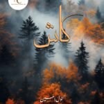 Kash By Kanwal Amin Urdu Novel-Free Pdf Download Cover Image